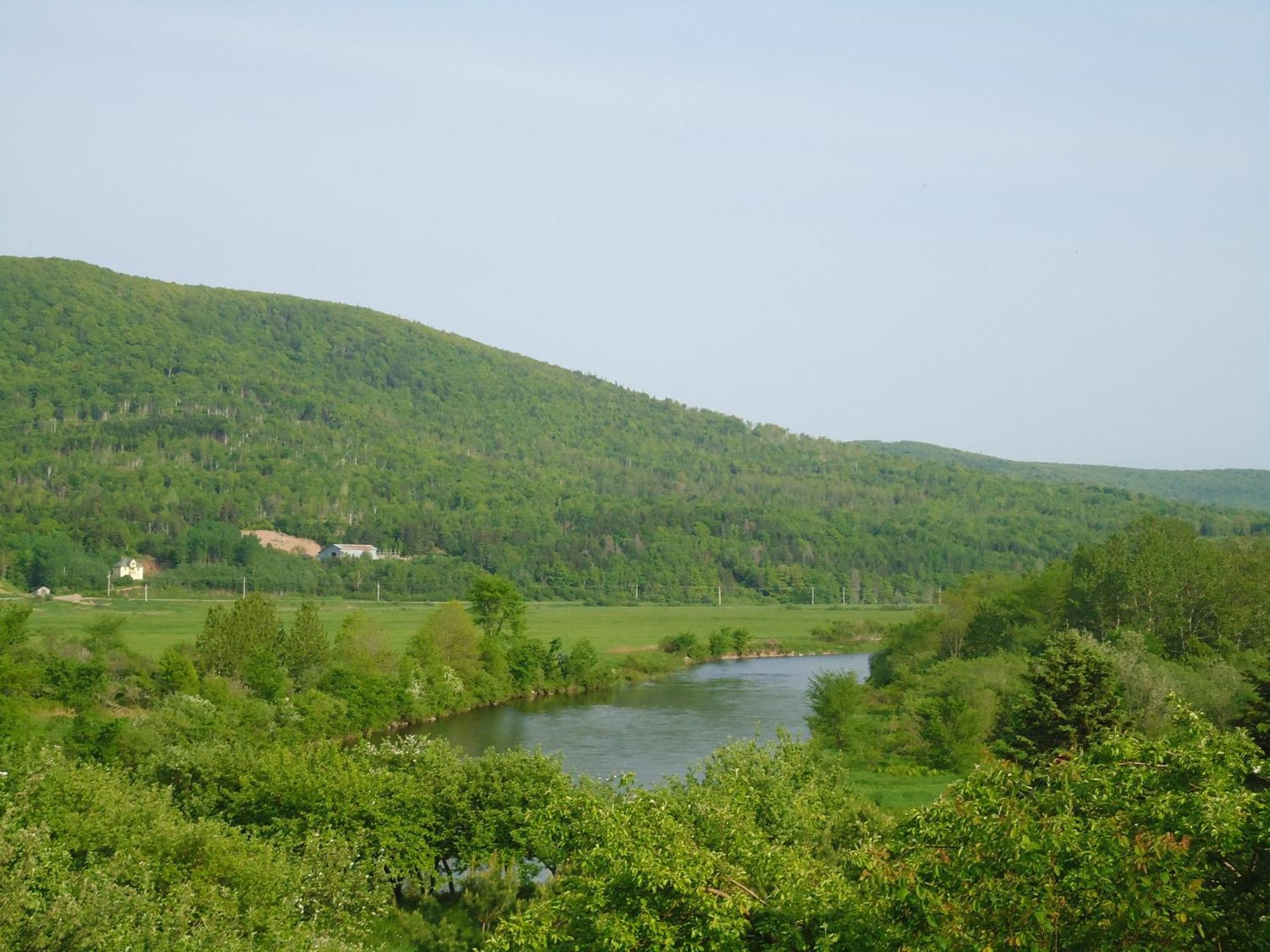 Cajun Cedar Log Cottages Margaree Forks Екстериор снимка