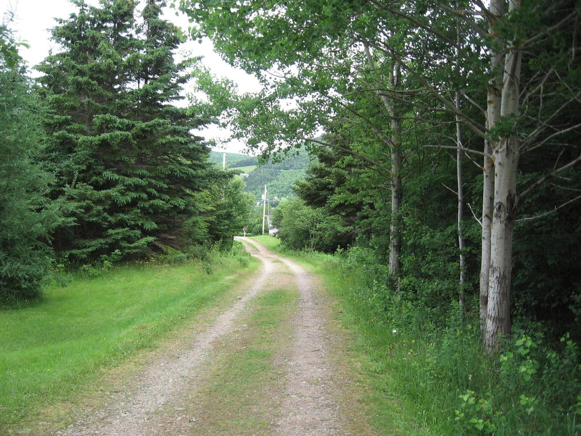 Cajun Cedar Log Cottages Margaree Forks Екстериор снимка