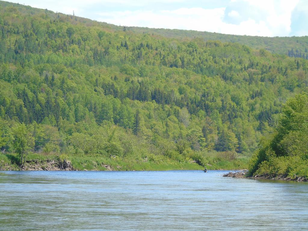 Cajun Cedar Log Cottages Margaree Forks Екстериор снимка