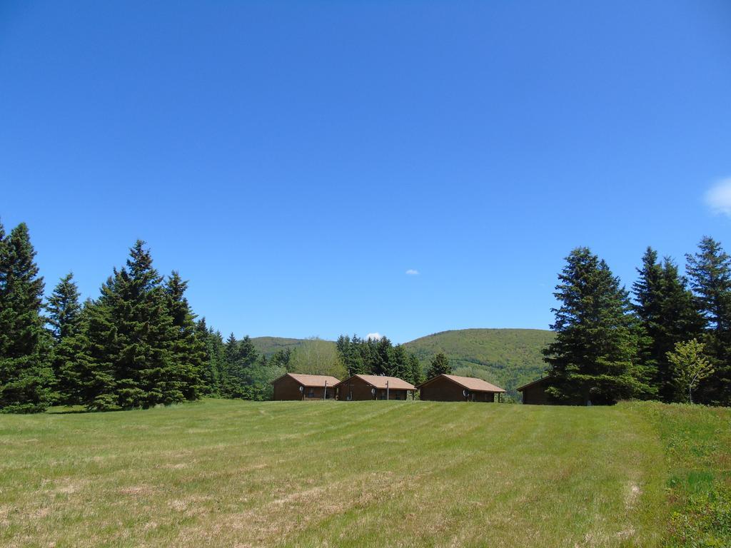 Cajun Cedar Log Cottages Margaree Forks Екстериор снимка