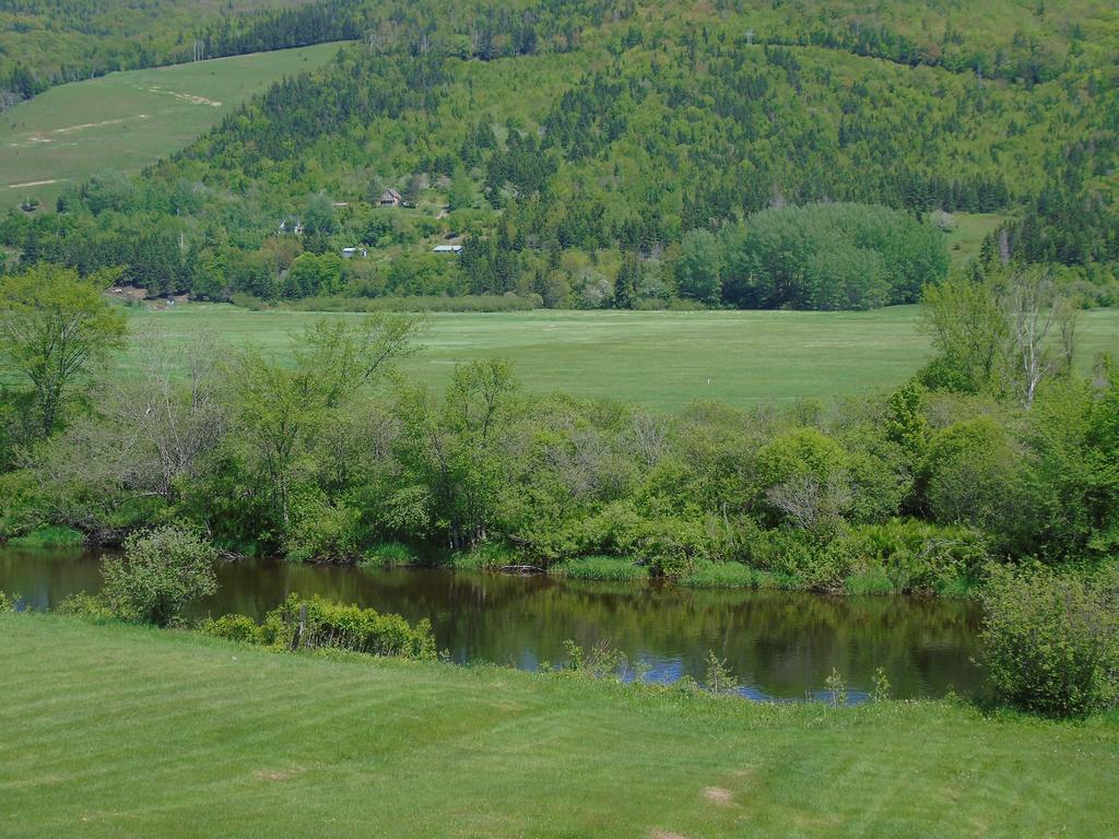 Cajun Cedar Log Cottages Margaree Forks Екстериор снимка