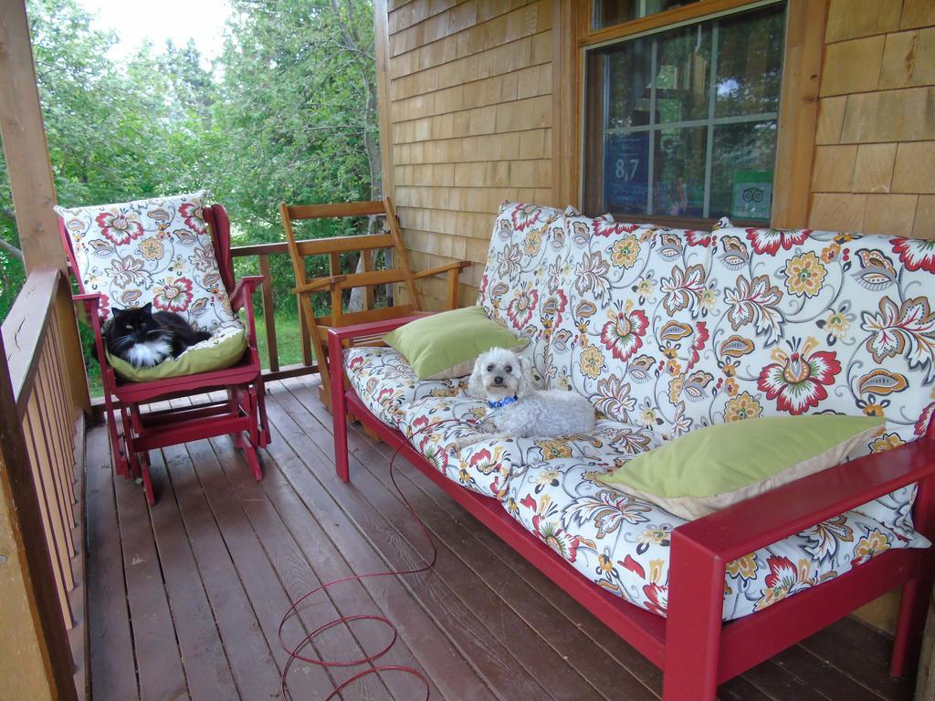 Cajun Cedar Log Cottages Margaree Forks Екстериор снимка