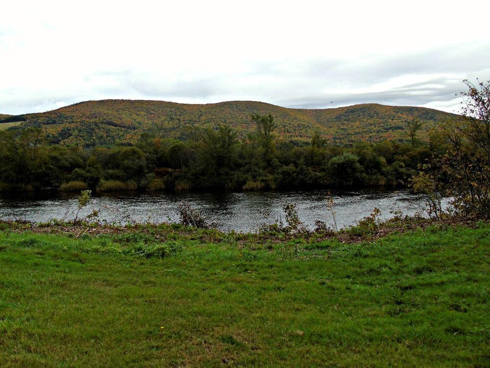 Cajun Cedar Log Cottages Margaree Forks Екстериор снимка