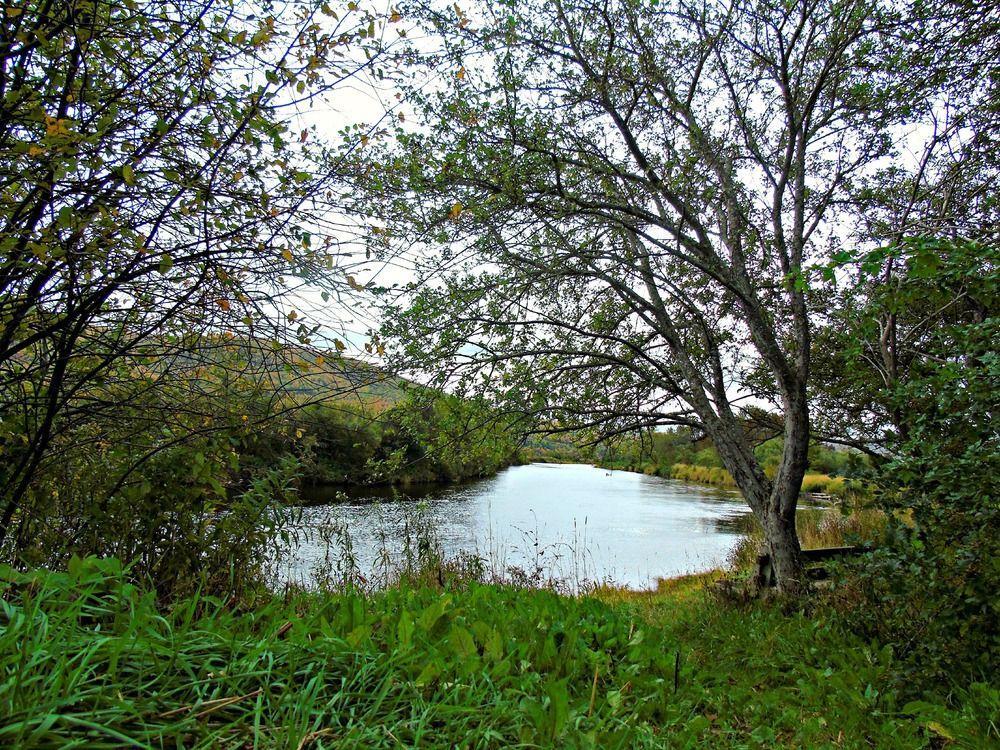 Cajun Cedar Log Cottages Margaree Forks Екстериор снимка