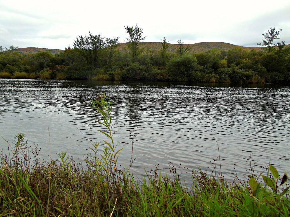 Cajun Cedar Log Cottages Margaree Forks Екстериор снимка