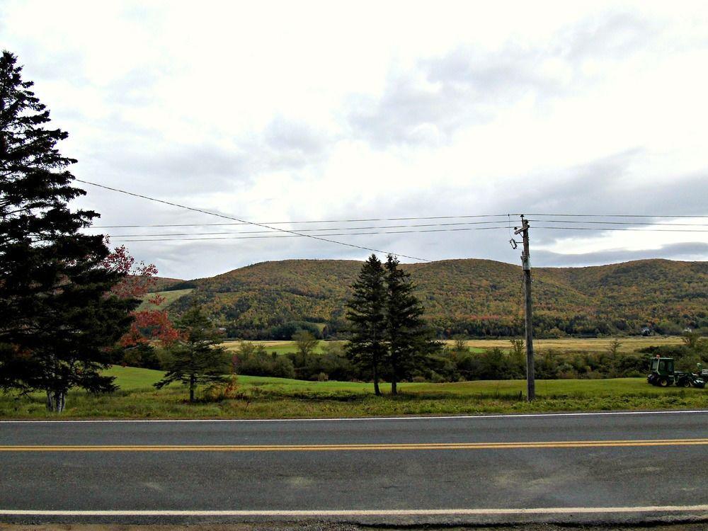Cajun Cedar Log Cottages Margaree Forks Екстериор снимка