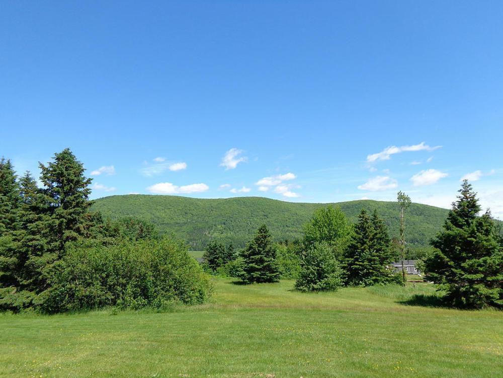 Cajun Cedar Log Cottages Margaree Forks Екстериор снимка