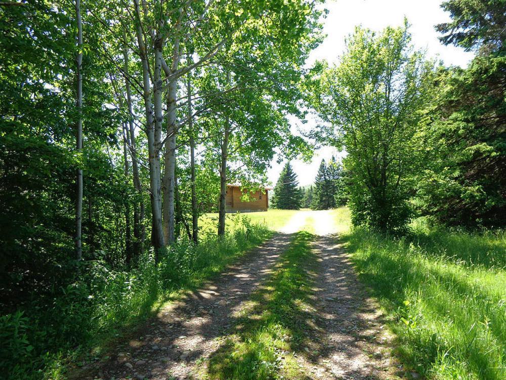 Cajun Cedar Log Cottages Margaree Forks Екстериор снимка