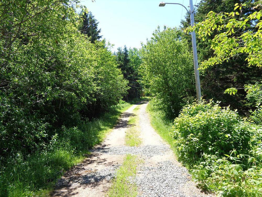 Cajun Cedar Log Cottages Margaree Forks Екстериор снимка