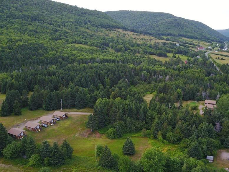 Cajun Cedar Log Cottages Margaree Forks Екстериор снимка
