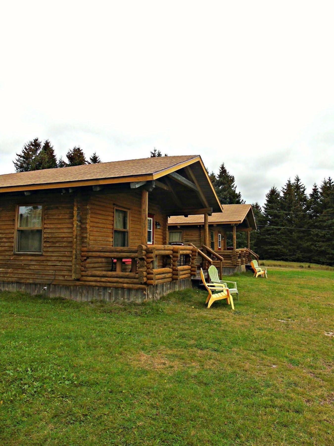 Cajun Cedar Log Cottages Margaree Forks Екстериор снимка