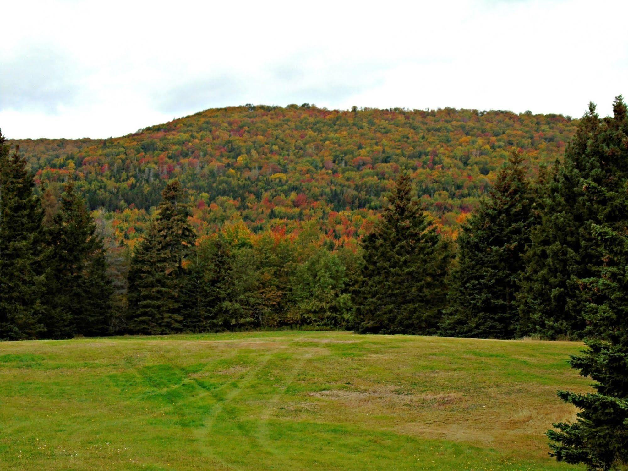 Cajun Cedar Log Cottages Margaree Forks Екстериор снимка