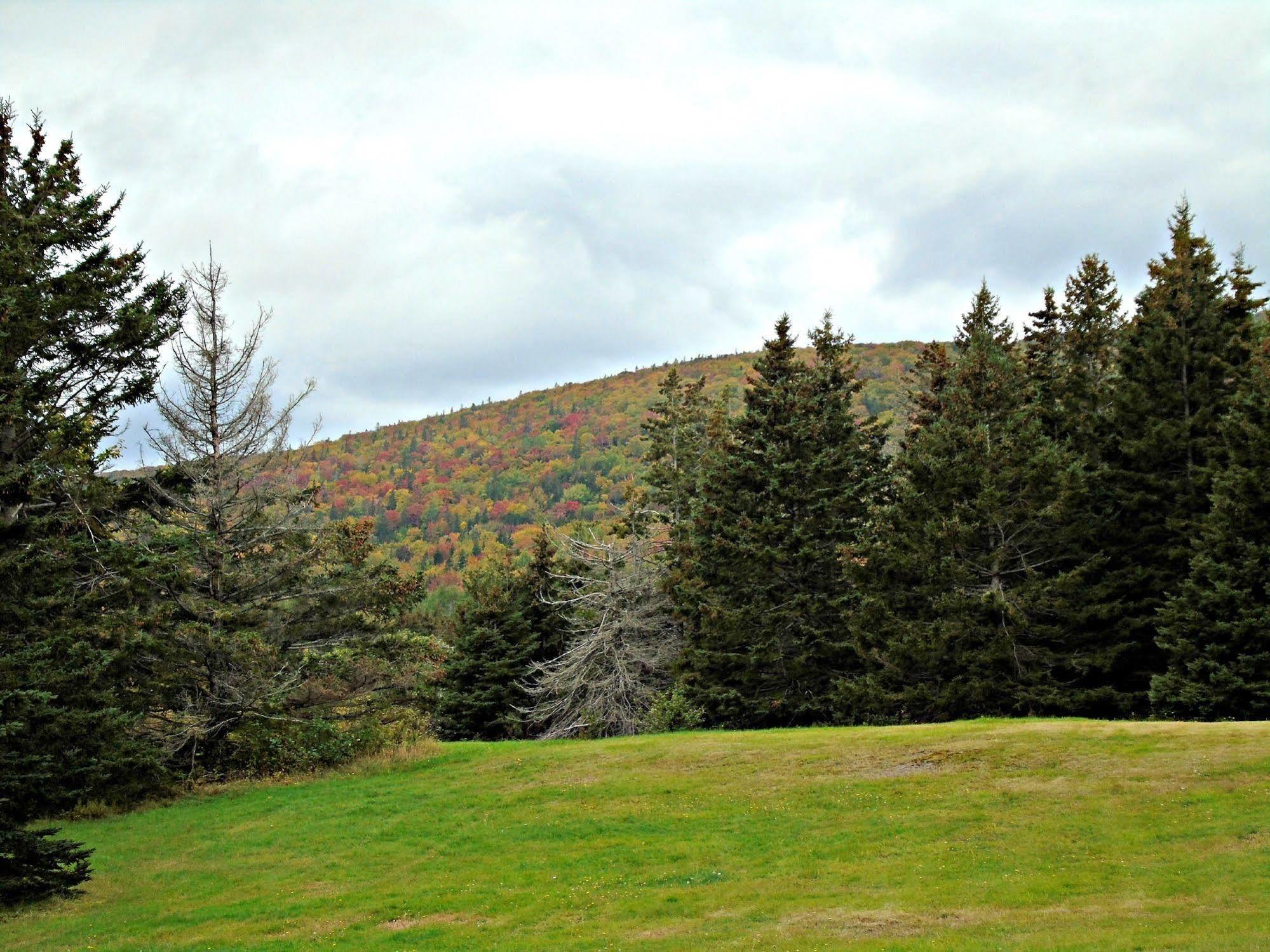Cajun Cedar Log Cottages Margaree Forks Екстериор снимка